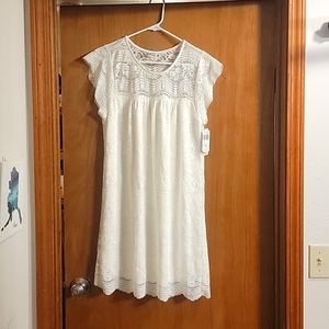 NWT speechless Cream lace shift dress